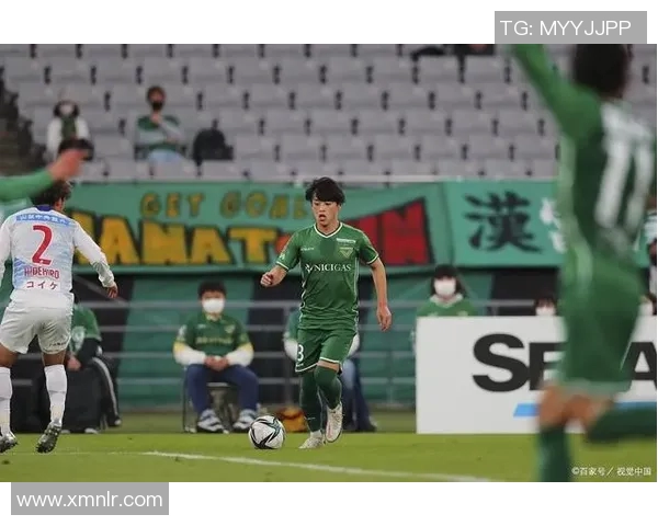 冈山对阵甲府山林精彩直播全程回顾与赛后分析